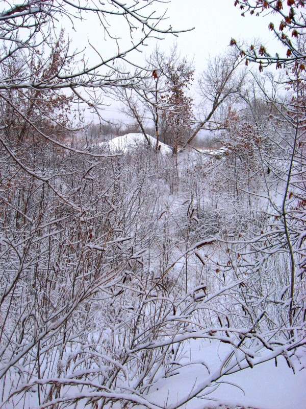 �������� �� ���� ����� Natali  ��������� �� PhotoGeek.ru #������ ��� �������