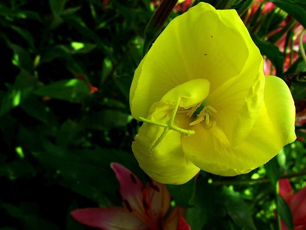 ... ����� Natali  ��������� �� PhotoGeek.ru #������ ��� ������� #����� ��������������