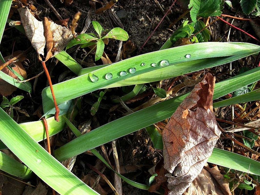 ������� ������ 2 ����� Natali  ��������� �� PhotoGeek.ru #������ ��� ������� #����� ��������������