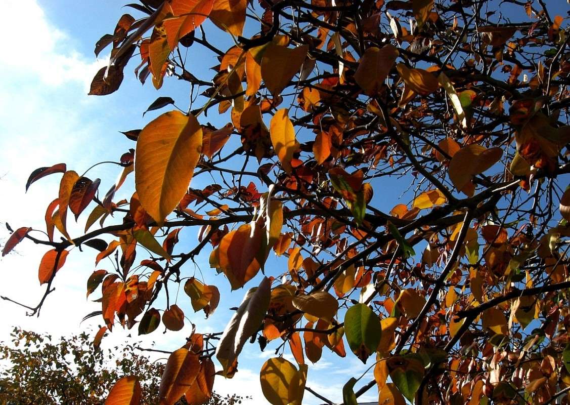 ������� ������... ����� Natali  ��������� �� PhotoGeek.ru #������ ��� ������� #����� ��������������