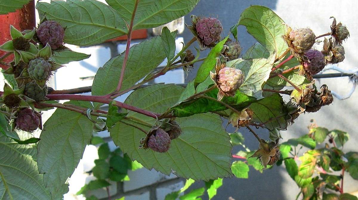 ��������� ������... ����� Natali  ��������� �� PhotoGeek.ru #������ ��� ������� #����� ��������������