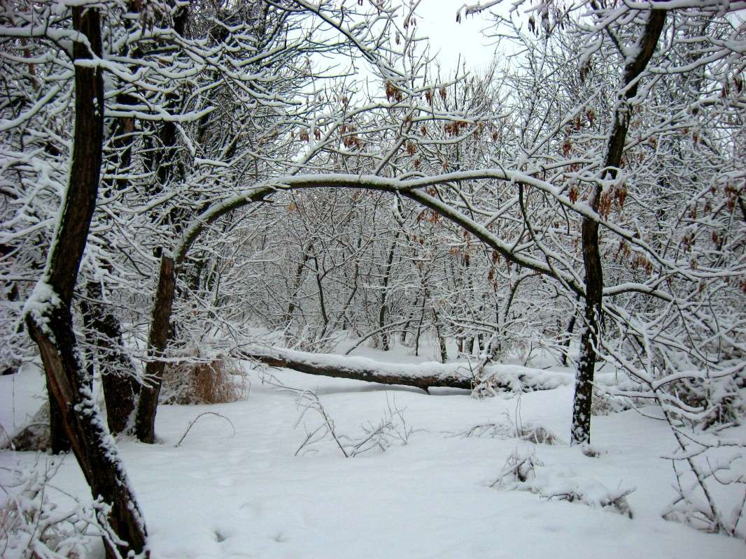 ... ����� Natali  ��������� �� PhotoGeek.ru #������ ��� ������� #����� ��������������