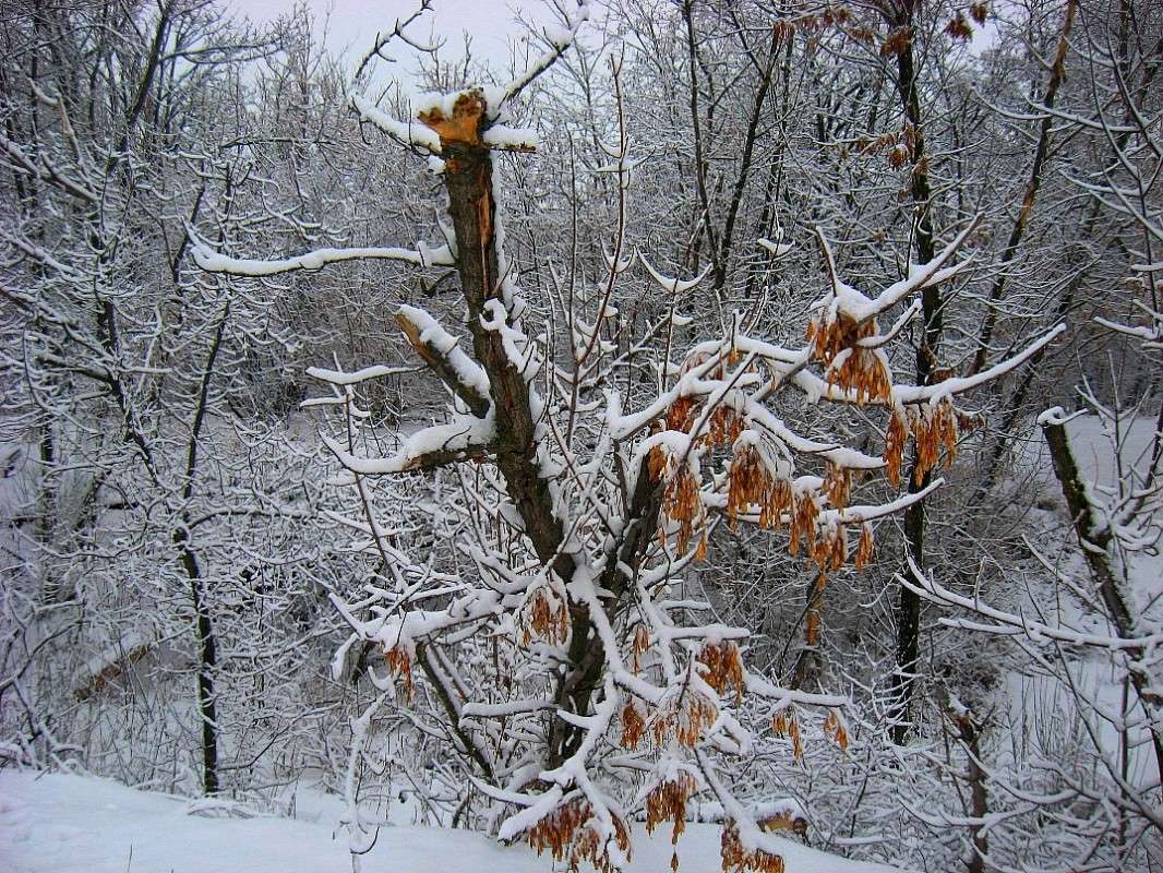 ... ����� Natali  ��������� �� PhotoGeek.ru #������ ��� ������� #����� ��������������