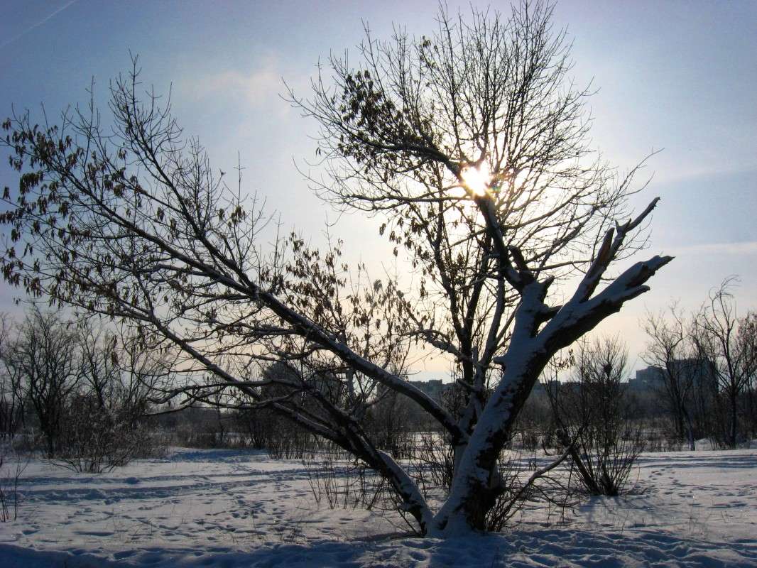 �������� �� ����...6 ����� Natali  ��������� �� PhotoGeek.ru #������ ��� ������� #����� ��������������