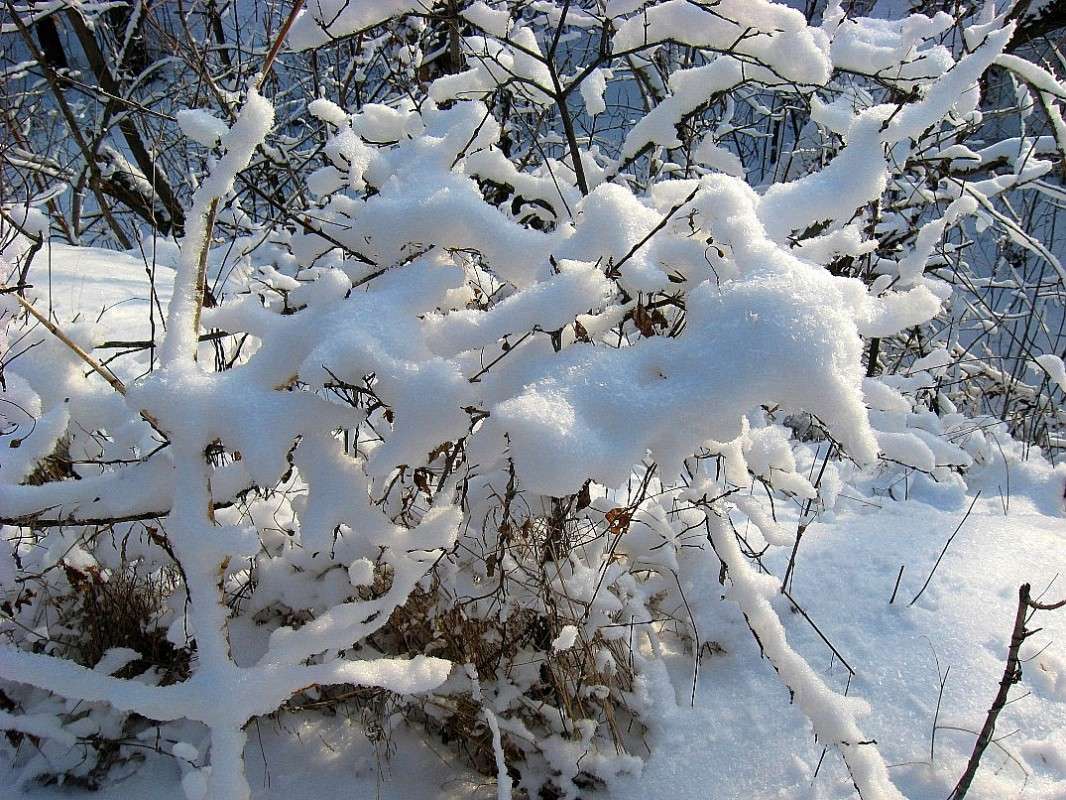 �������� �� ����...4 ����� Natali  ��������� �� PhotoGeek.ru #������ ��� ������� #����� ��������������