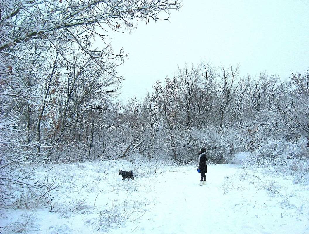 � ��������� ���� ����������...) ����� Natali  ��������� �� PhotoGeek.ru #�������� ��� #������ ��� �������