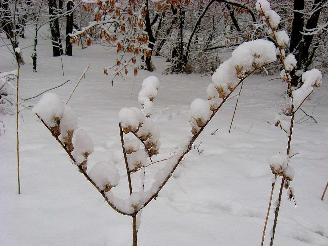 ��� �� ������ ?! ))) ����� Natali  ��������� �� PhotoGeek.ru #������ ��� ������� #����� ��������������