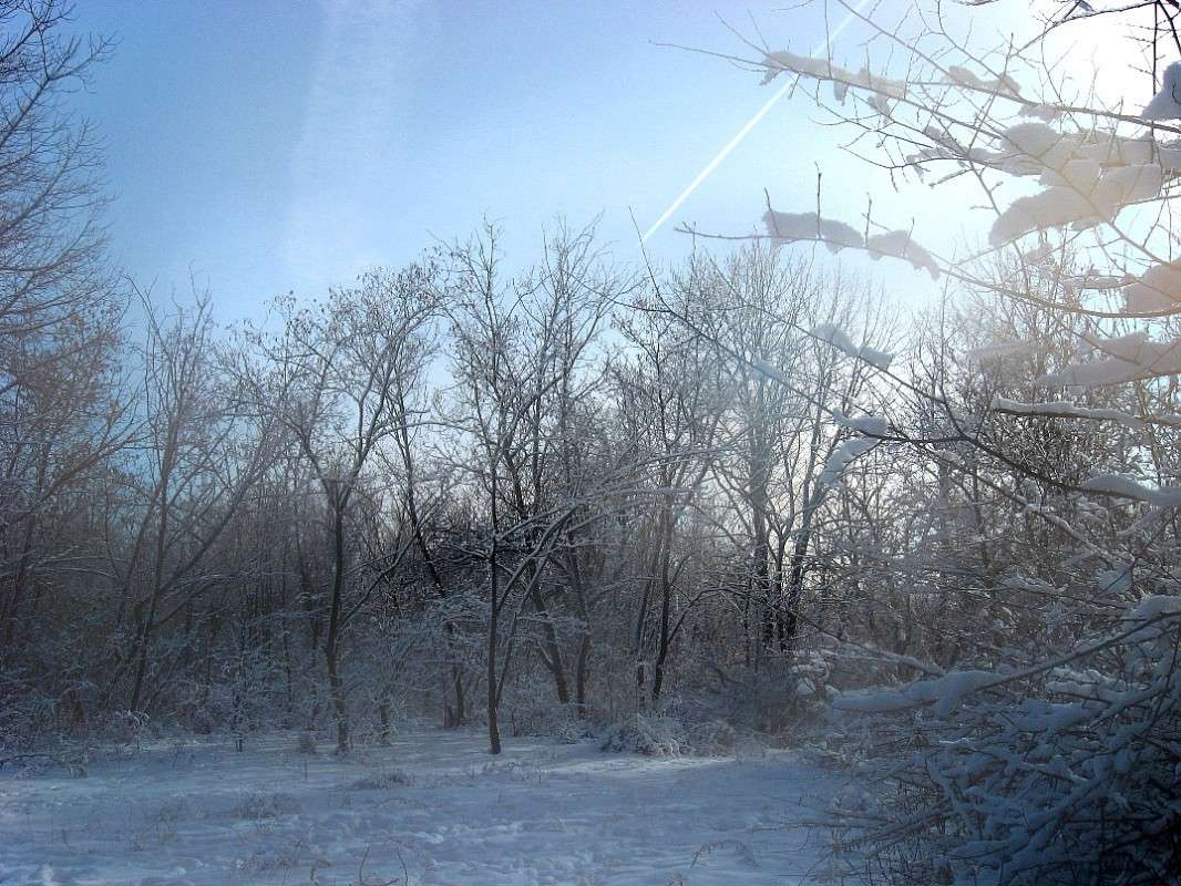 �������� ����� Natali  ��������� �� PhotoGeek.ru #������ ��� ������� #����� ��������������