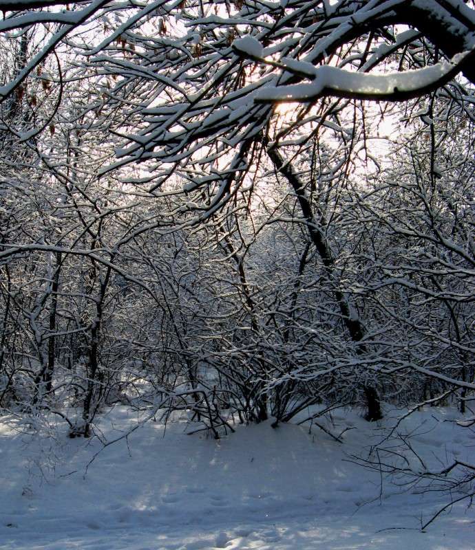 �� �������...) ����� Natali  ��������� �� PhotoGeek.ru #������ ��� �������