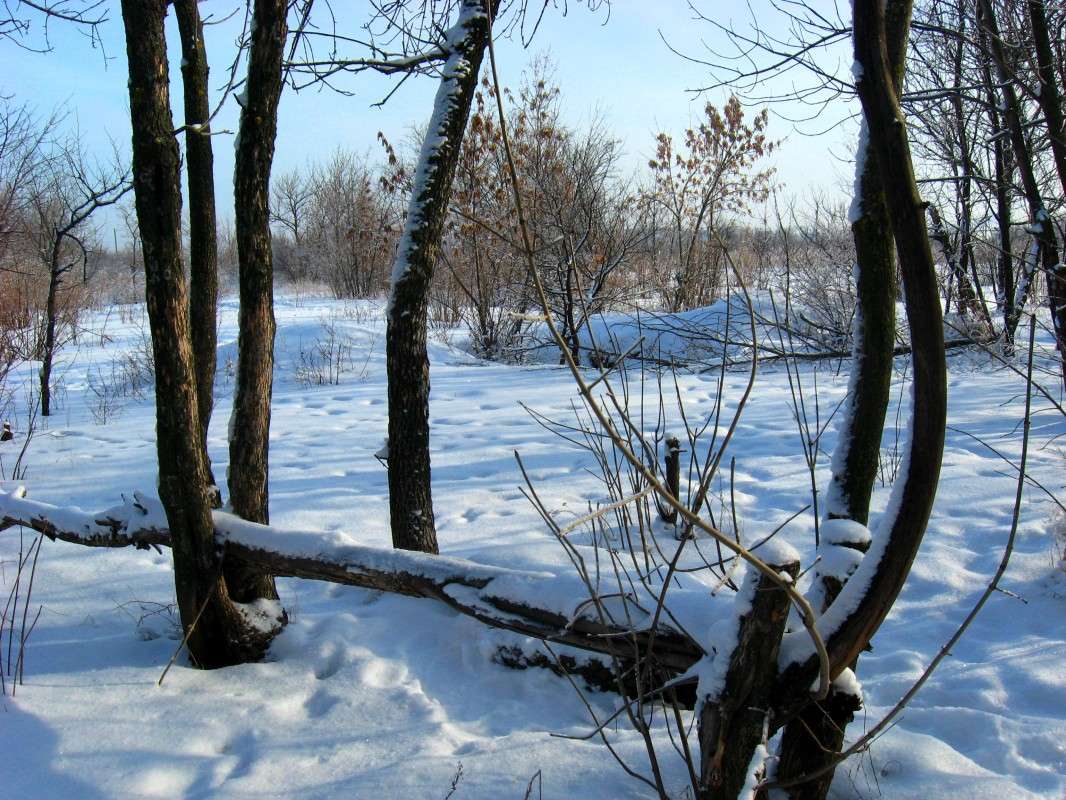 ��� ������� � �������..) ����� Natali  ��������� �� PhotoGeek.ru #������ ��� �������