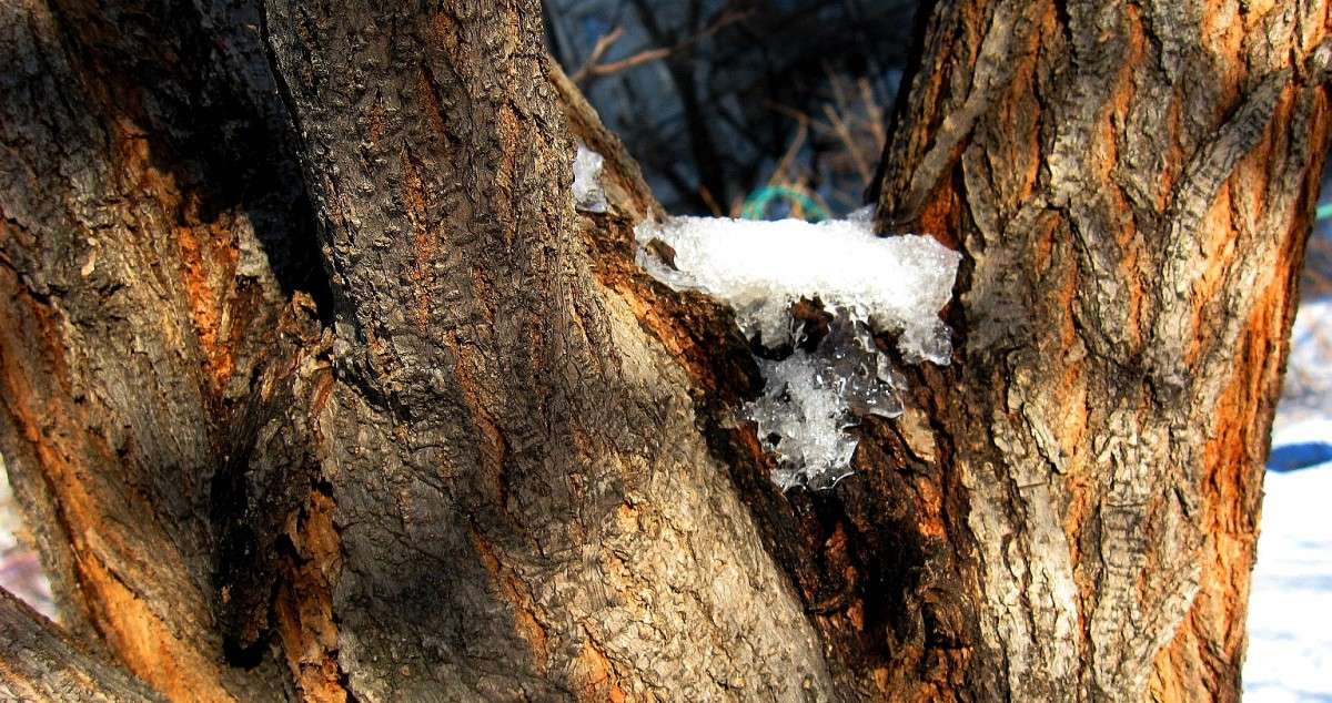 ����.�������� ����� Natali  ��������� �� PhotoGeek.ru #������ ��� ������� #����� ��������������