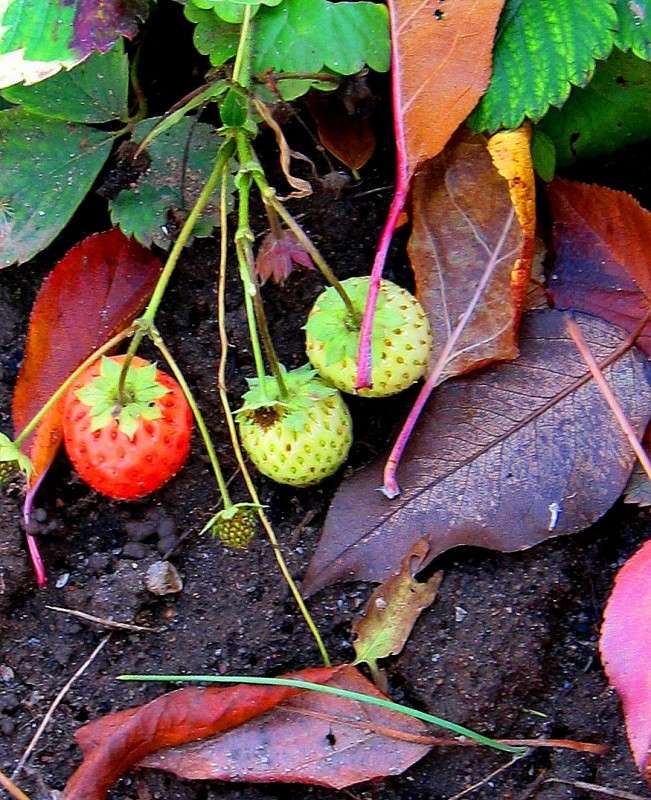 � ����� ������� ����� Natali  ��������� �� PhotoGeek.ru #������ ��� ������� #����� ��������������