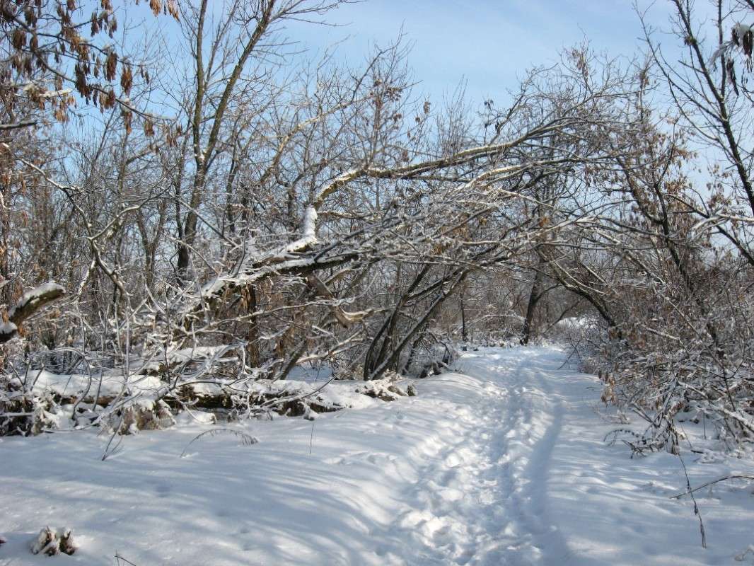 �������� �� ����...7 ����� Natali  ��������� �� PhotoGeek.ru #������ ��� ������� #����� ��������������