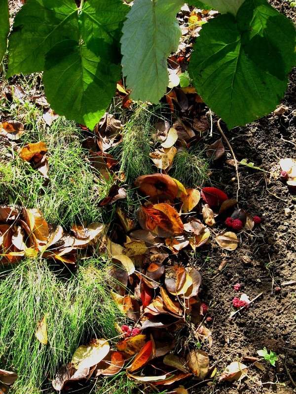 ������� �����. ����� Natali  ��������� �� PhotoGeek.ru #������ ��� ������� #����� ��������������