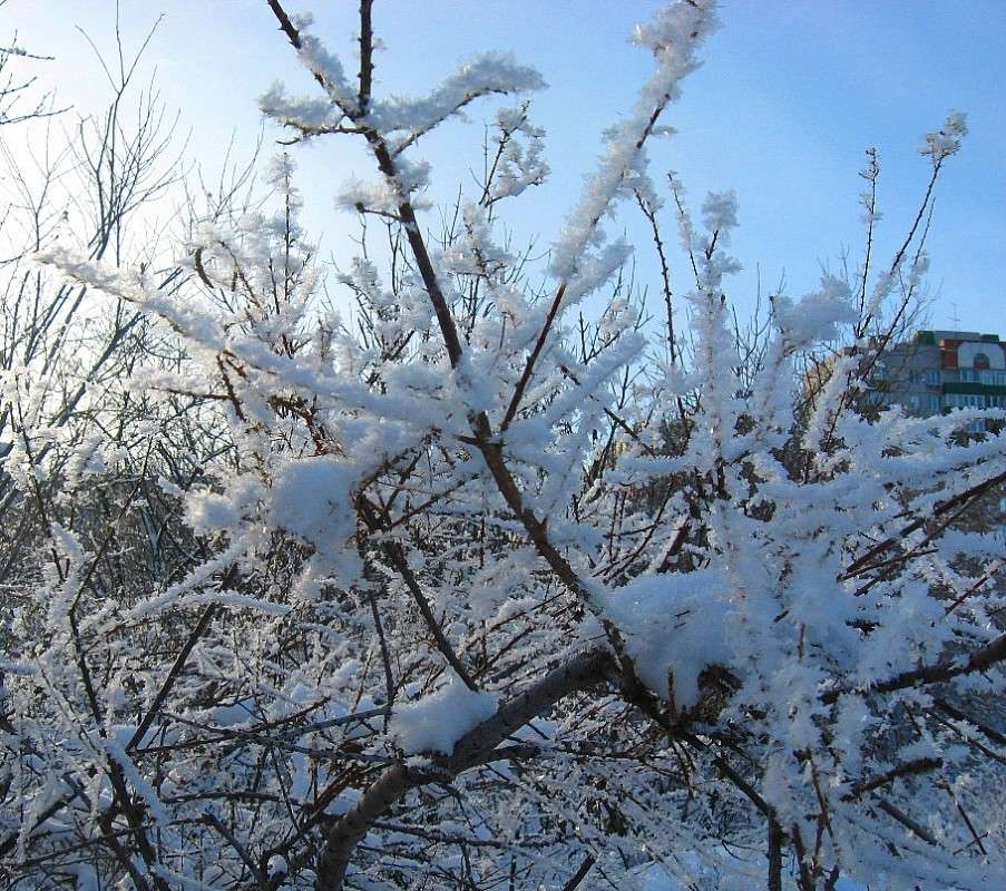 ���� � ������ ����� Natali  ��������� �� PhotoGeek.ru #������ ��� ������� #����� ��������������