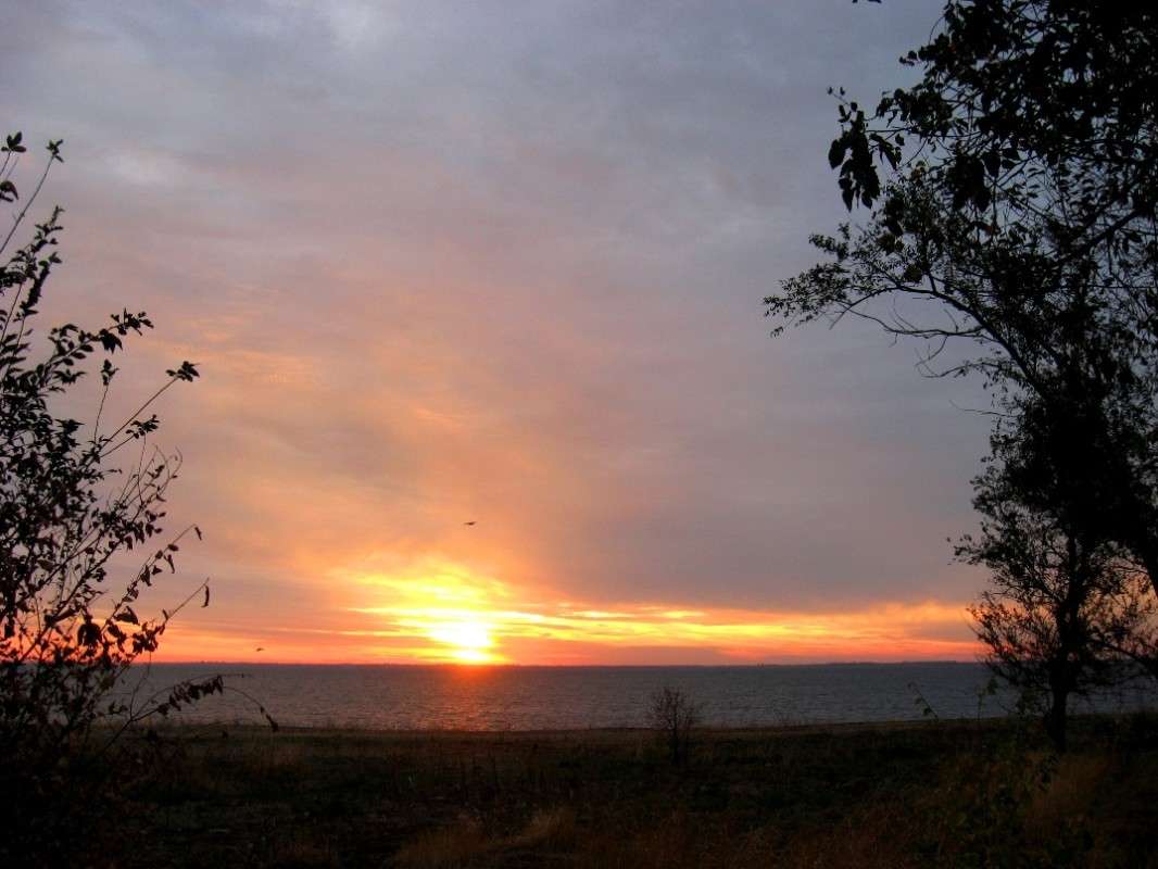 ������� ����. ����� Natali  ��������� �� PhotoGeek.ru #������ ��� �������