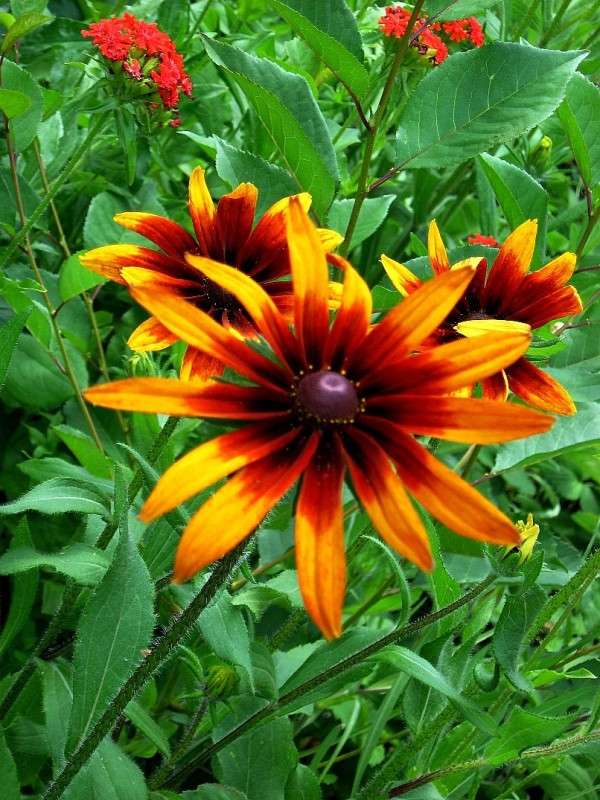 ... ����� Natali  ��������� �� PhotoGeek.ru #������ ��� ������� #����� ��������������