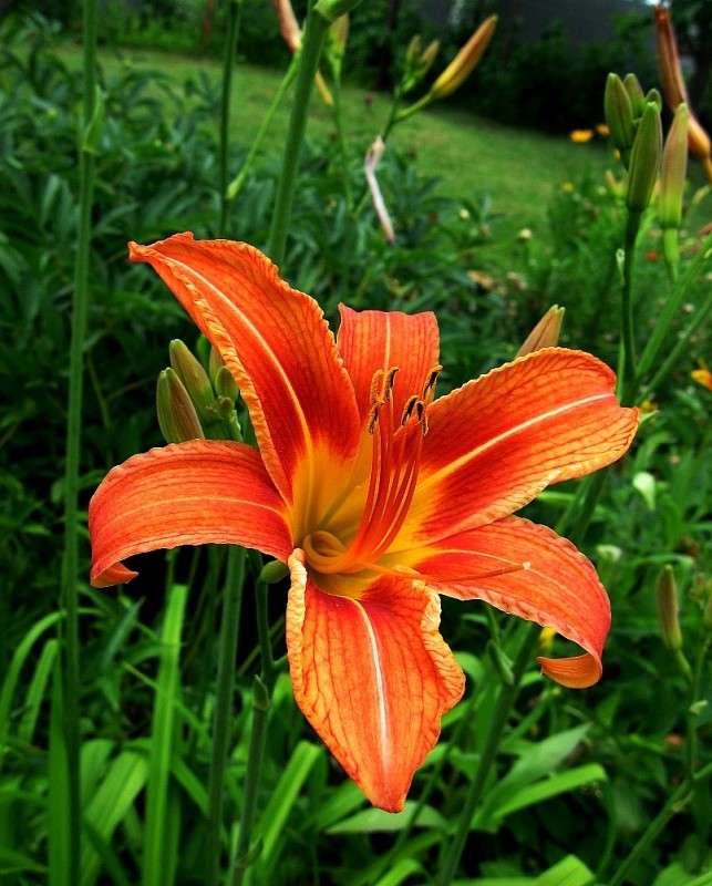 ... ����� Natali  ��������� �� PhotoGeek.ru #������ ��� ������� #����� ��������������