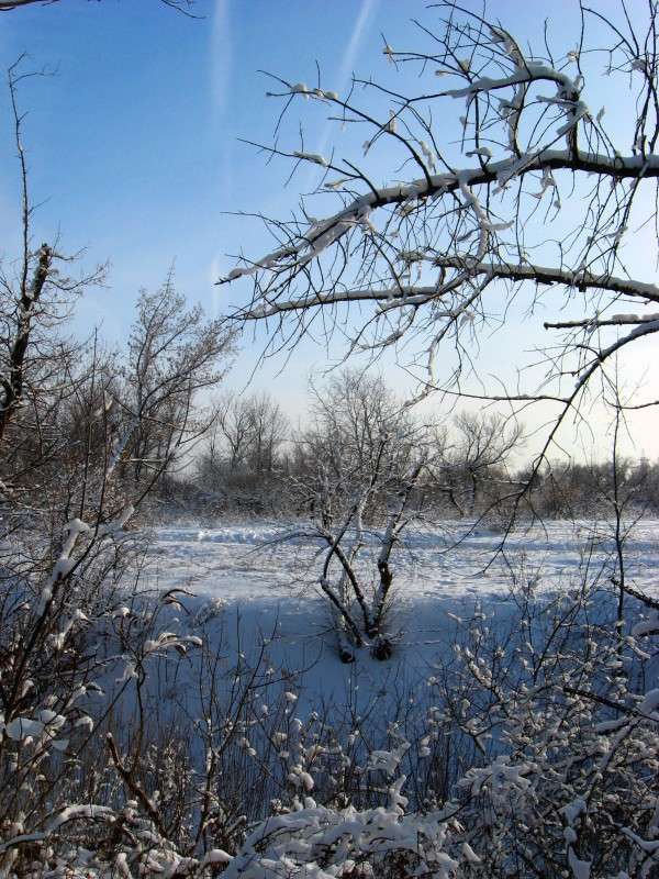 ... ����� Natali  ��������� �� PhotoGeek.ru #������ ��� ������� #����� ��������������