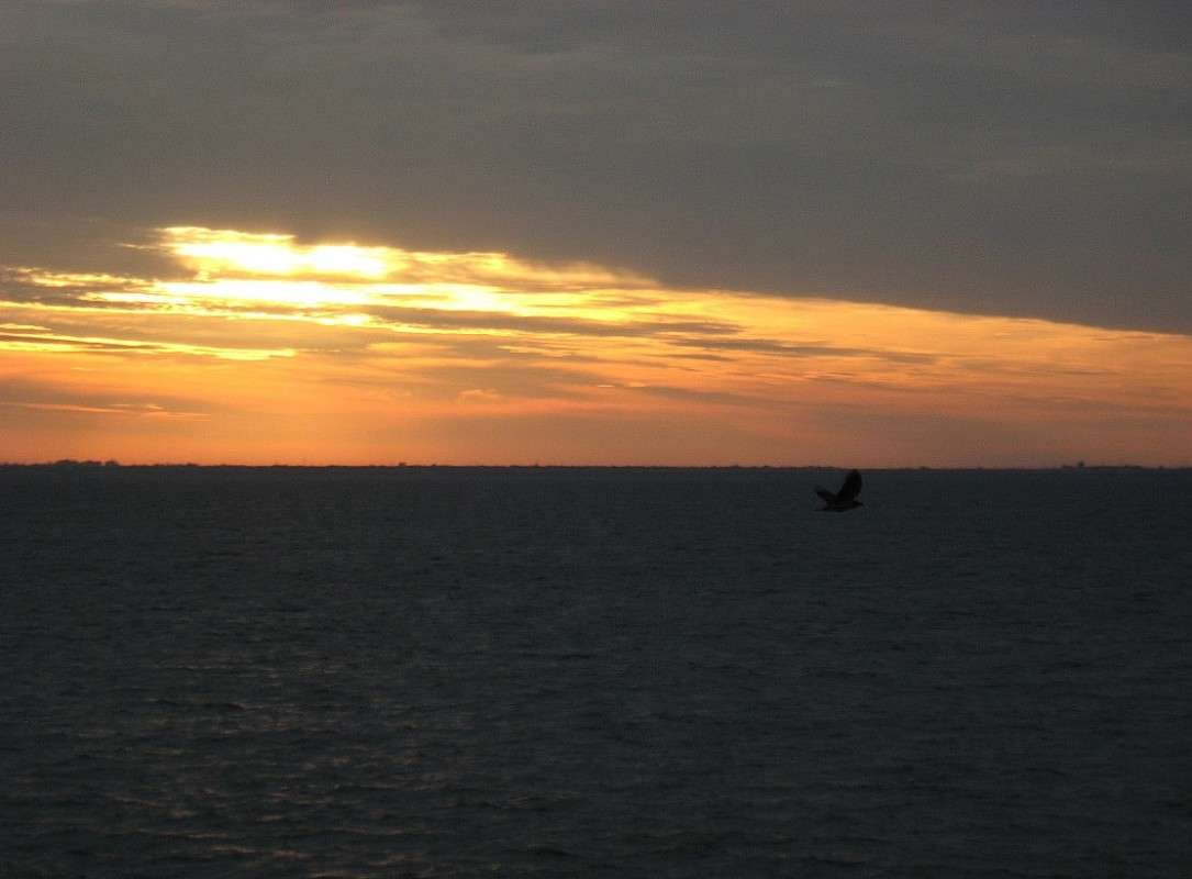 ������ � �������� ����� Natali  ��������� �� PhotoGeek.ru #������ ��� �������