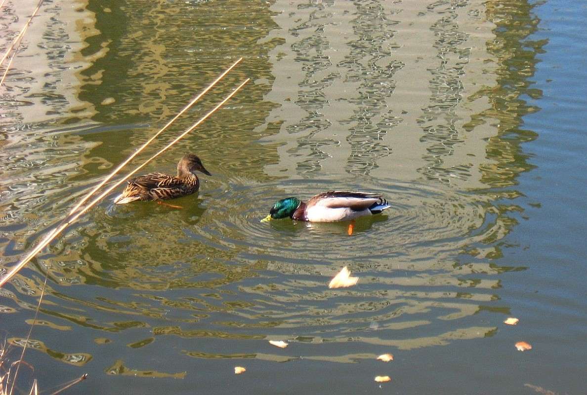 ���-�� ����� ��������...) ����� Natali  ��������� �� PhotoGeek.ru #�������� ��� #����� ��� ��� ���������