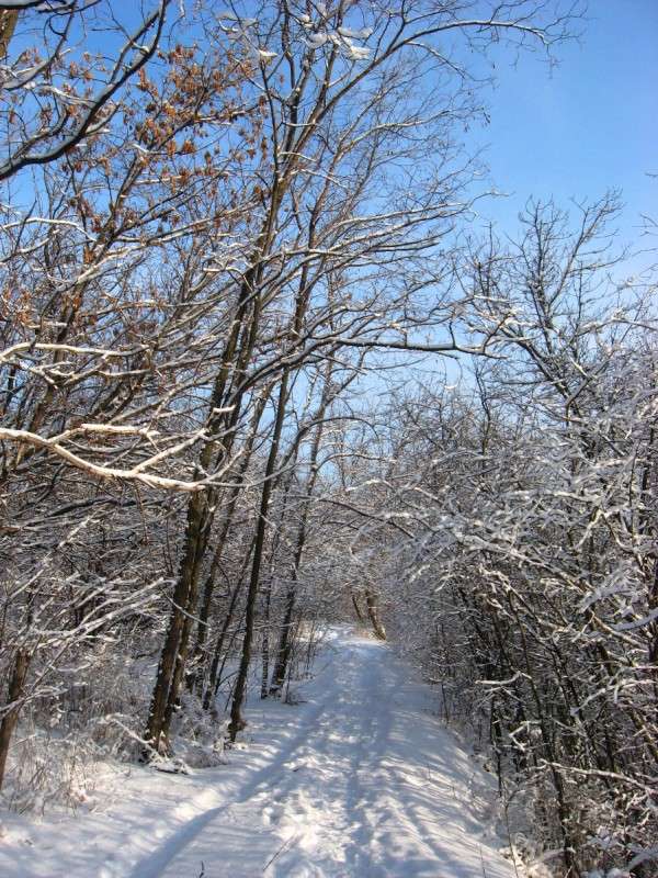 ������ ������...2 ����� Natali  ��������� �� PhotoGeek.ru #������ ��� ������� #����� ��������������