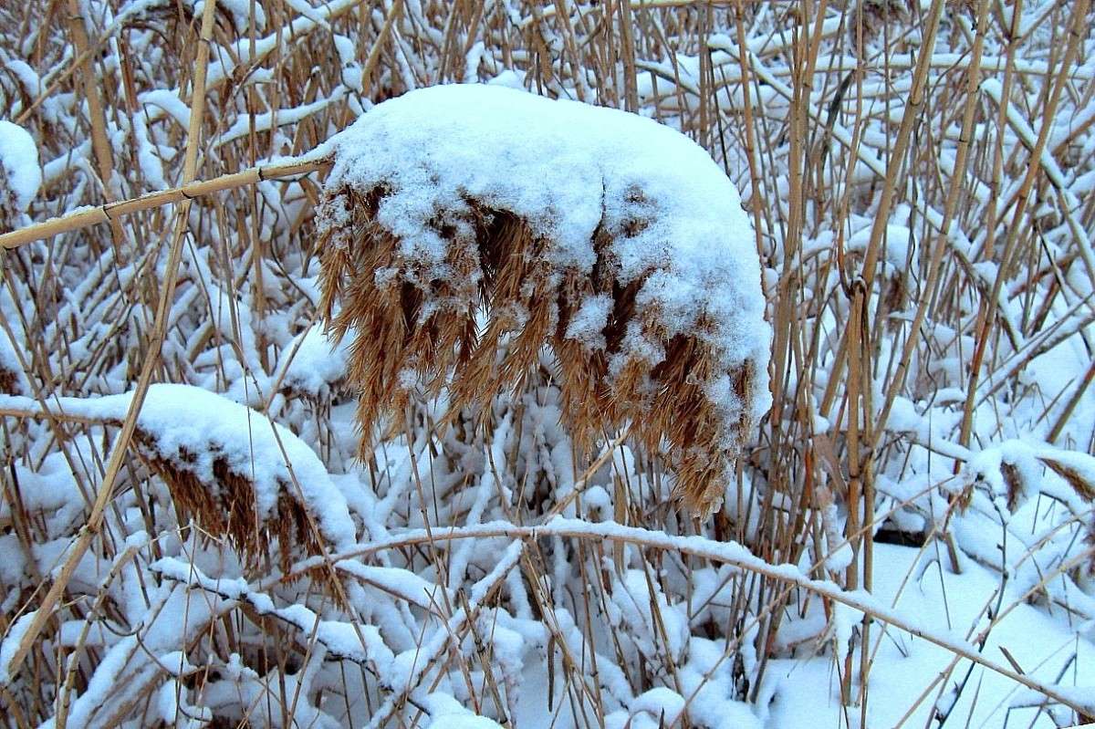 ��� ������ ����� Natali  ��������� �� PhotoGeek.ru #������ ��� ������� #����� ��������������