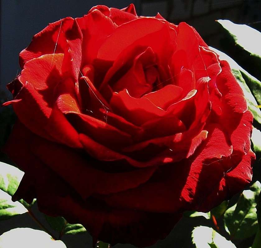 ... ����� Natali  ��������� �� PhotoGeek.ru #������ ��� ������� #����� ��������������