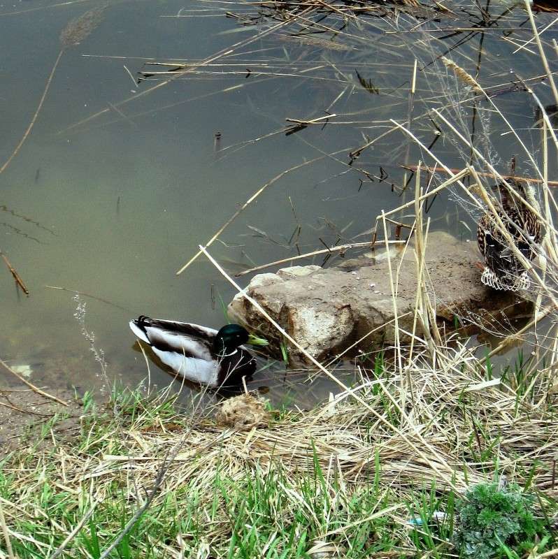 � �������...) ����� Natali  ��������� �� PhotoGeek.ru #�������� ��� #������ ��� ������� #����� ��� ��� ���������