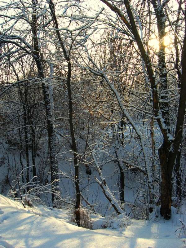 ���� � ���� ����� Natali  ��������� �� PhotoGeek.ru #������ ��� �������