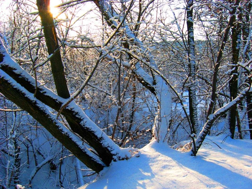 ������ �������� ����� Natali  ��������� �� PhotoGeek.ru #������ ��� ������� #����� ��������������