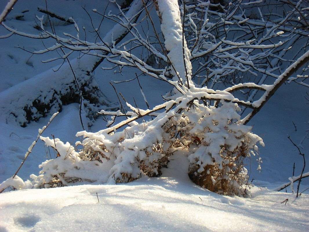 ���� � ����...2 ����� Natali  ��������� �� PhotoGeek.ru #������ ��� ������� #����� ��������������