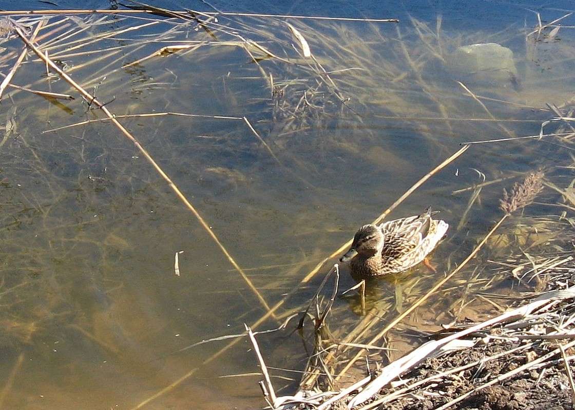 ... ����� Natali  ��������� �� PhotoGeek.ru #�������� ��� #������ ��� ������� #����� ��� ��� ���������