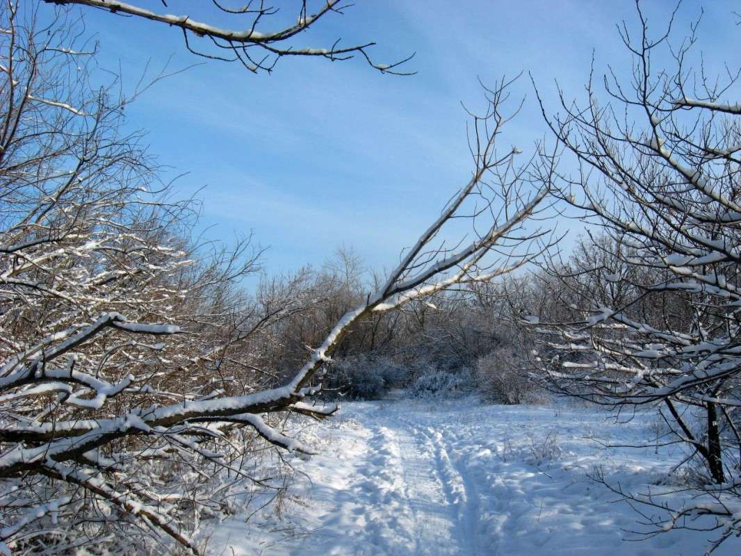 ����� ������ ����� Natali  ��������� �� PhotoGeek.ru #������ ��� ������� #����� ��������������