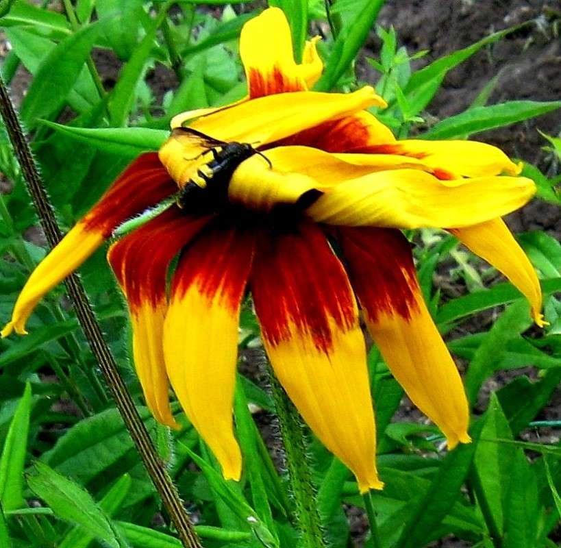 ... ����� Natali  ��������� �� PhotoGeek.ru #������ ��� ������� #����� ��������������