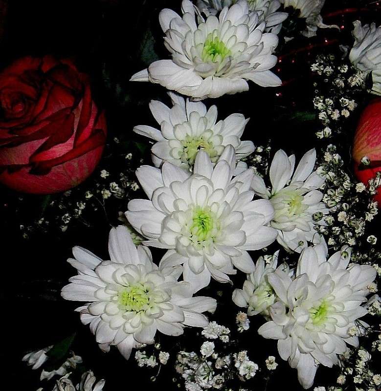 ��� ���� �����...) ����� Natali  ��������� �� PhotoGeek.ru #������ ��� ������� #����� ��������������