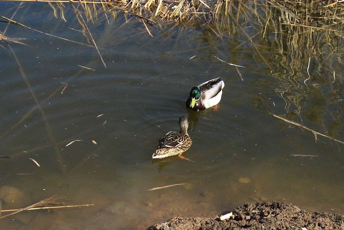 ����� ���������...) ����� Natali  ��������� �� PhotoGeek.ru #�������� ��� #������ ��� ������� #����� ��� ��� ���������