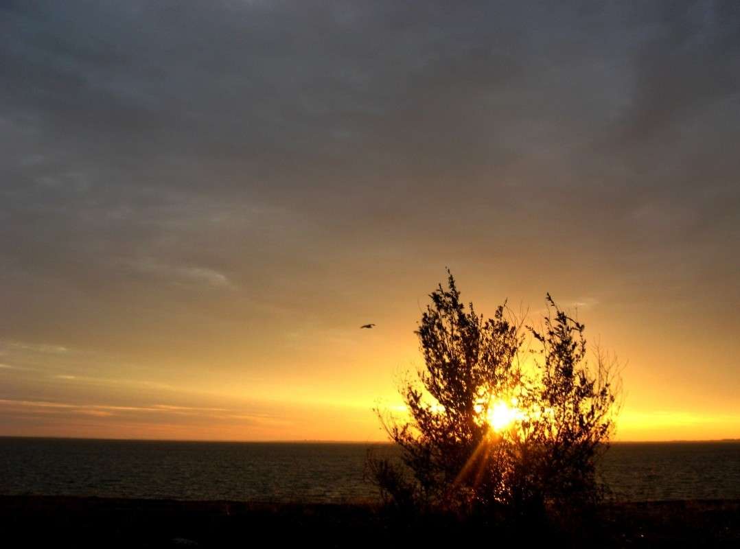 ... ����� Natali  ��������� �� PhotoGeek.ru #������ ��� ������� #����� ��������������