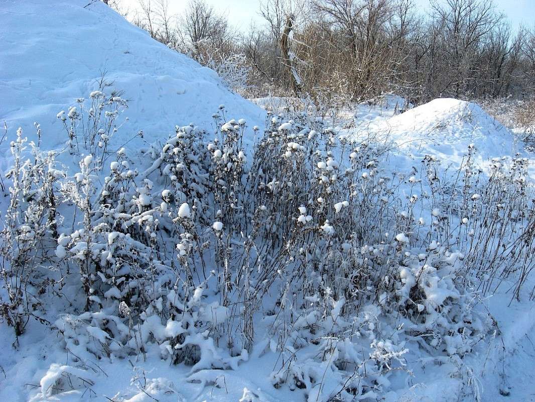 ����� ������...) ����� Natali  ��������� �� PhotoGeek.ru #������ ��� ������� #����� ��������������