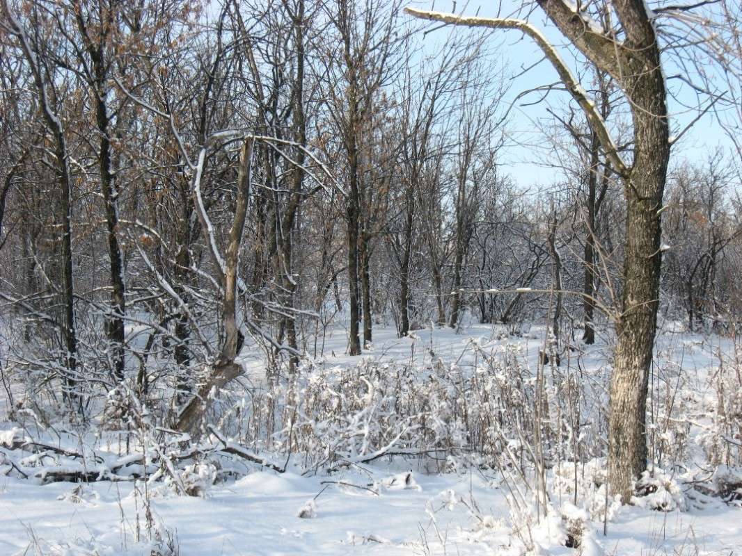 ... ����� Natali  ��������� �� PhotoGeek.ru #������ ��� ������� #����� ��������������