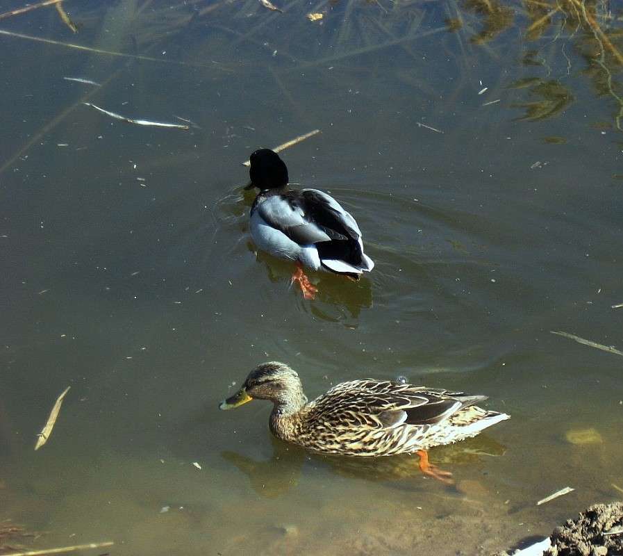 ��� � ���� �������... ) ����� Natali  ��������� �� PhotoGeek.ru #�������� ��� #����� ��� ��� ���������