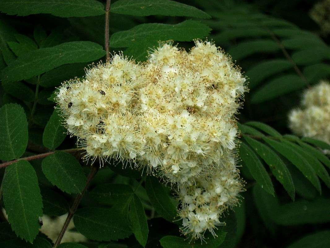 �����.... ����� Natali  ��������� �� PhotoGeek.ru #������ ��� ������� #����� ��������������