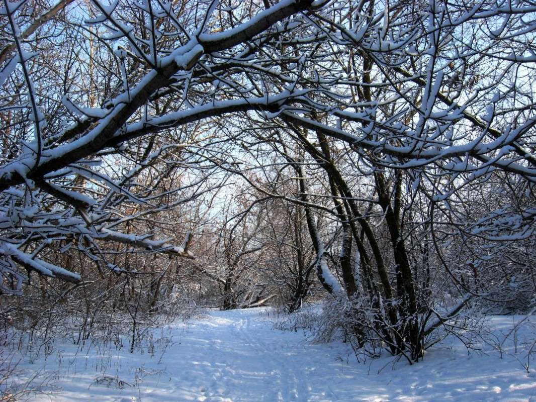 �� ���� ��������...) ����� Natali  ��������� �� PhotoGeek.ru #������ ��� ������� #����� ��������������