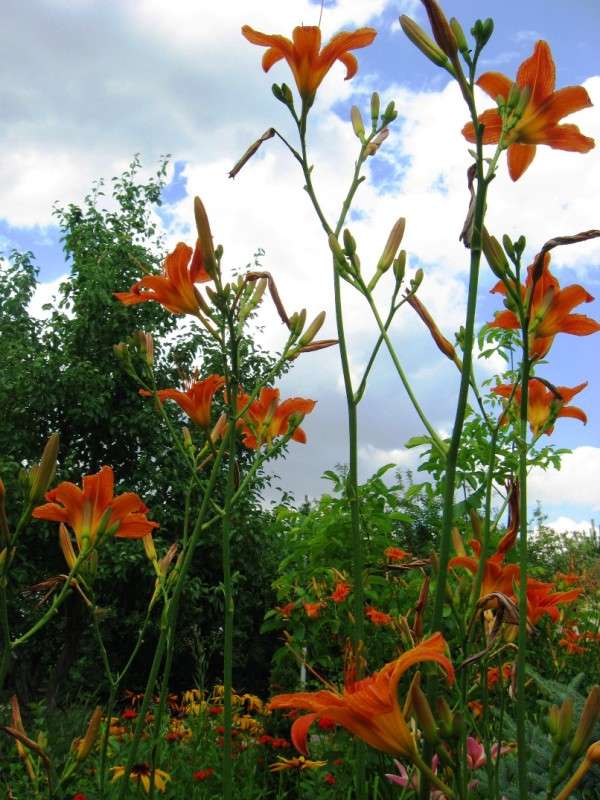 ������ ���� ����� Natali  ��������� �� PhotoGeek.ru #������ ��� ������� #����� ��������������