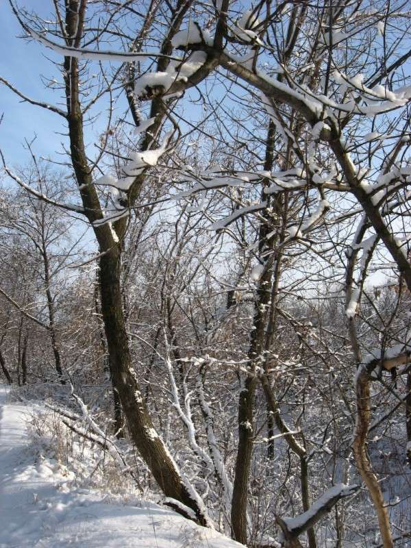 ������������...) ����� Natali  ��������� �� PhotoGeek.ru #������ ��� ������� #����� ��������������