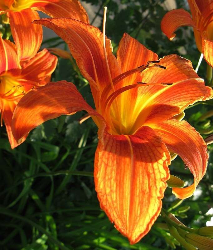 ��������� ���� ����� Natali  ��������� �� PhotoGeek.ru #����� ��������������