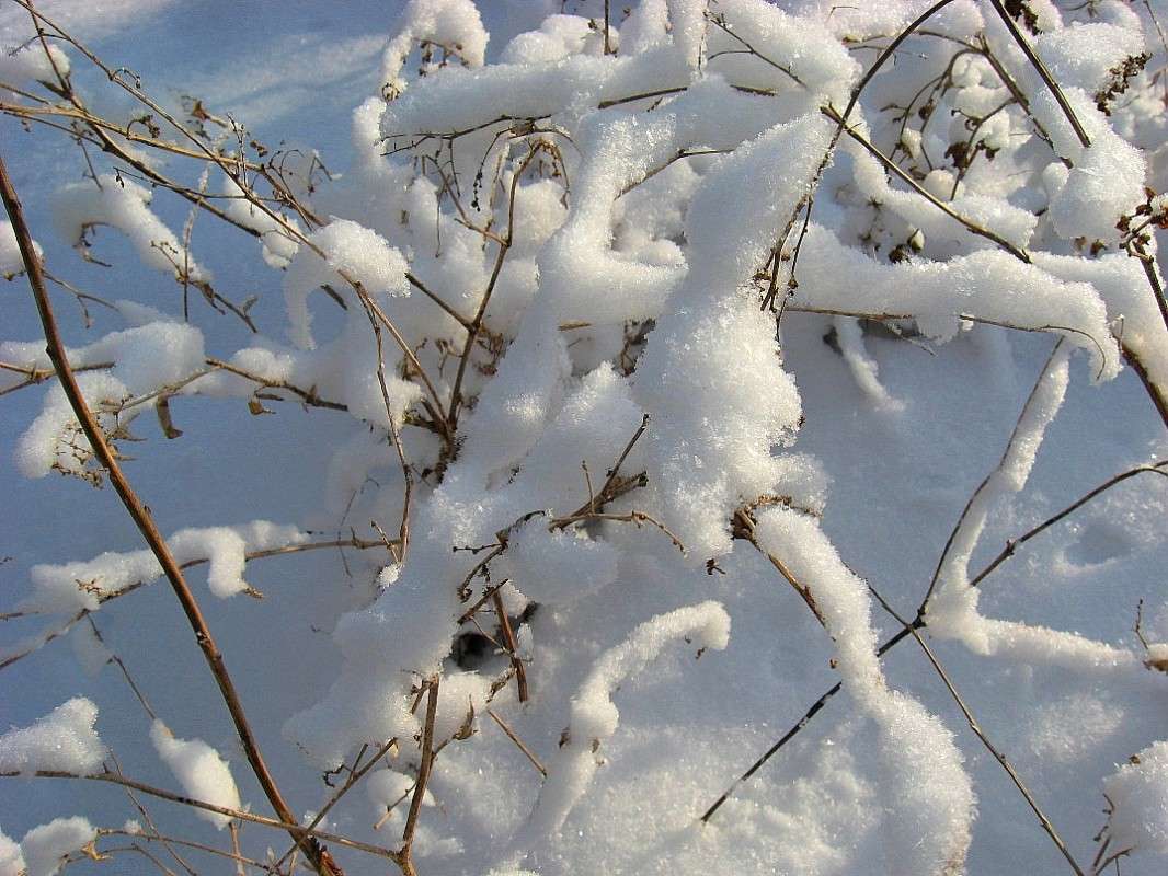 ... ����� Natali  ��������� �� PhotoGeek.ru #������ ��� ������� #����� ��������������