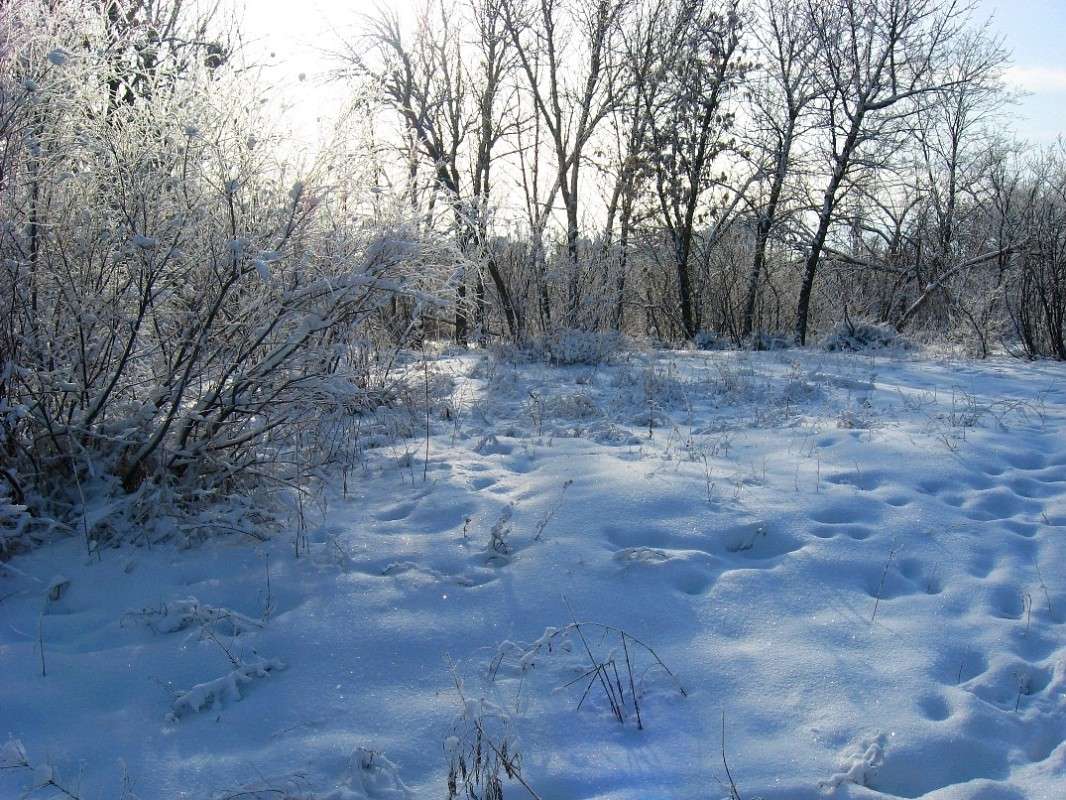 ���������...) ����� Natali  ��������� �� PhotoGeek.ru #������ ��� ������� #����� ��������������