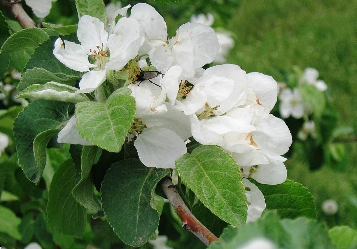 ... ����� Natali  ��������� �� PhotoGeek.ru #������ ��� ������� #����� ��������������