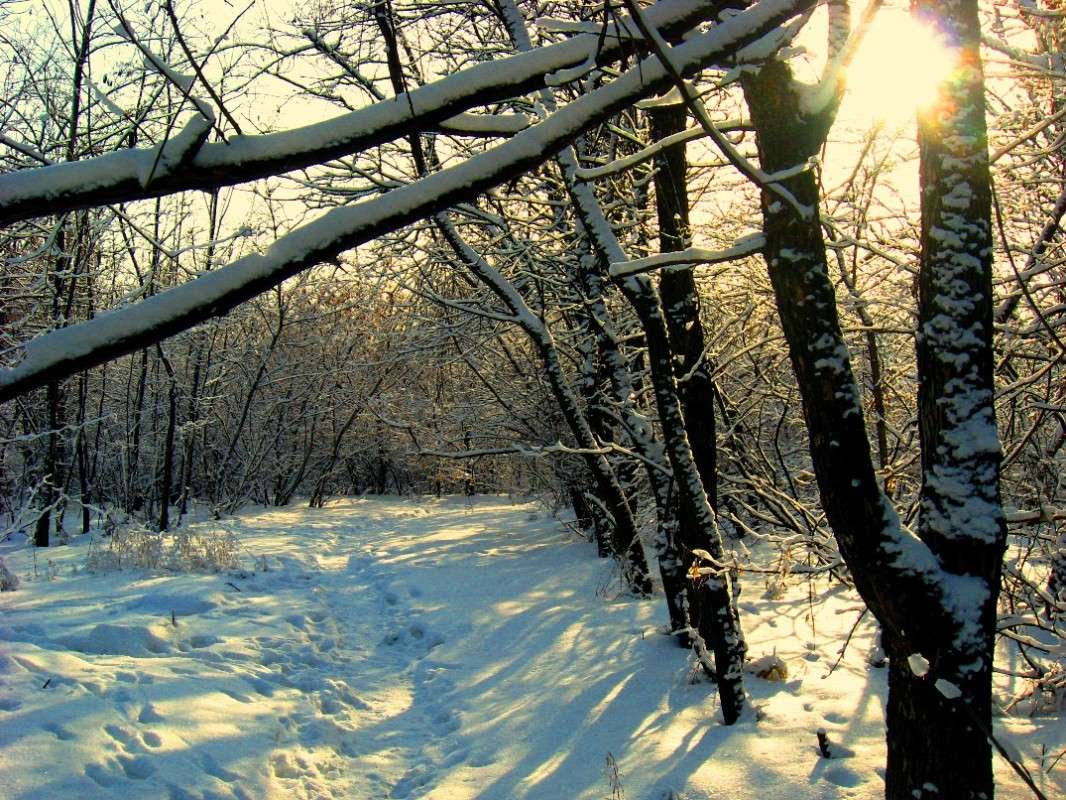 ������, �� �� �����...) ����� Natali  ��������� �� PhotoGeek.ru #������ ��� ������� #����� ��������������